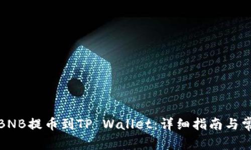 如何将币安BNB提币到TP Wallet：详细指南与常见问题解答