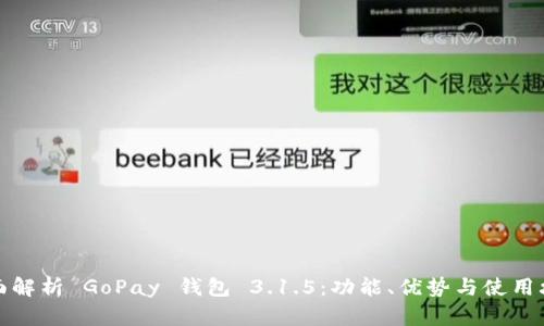 全面解析 GoPay 钱包 3.1.5：功能、优势与使用攻略