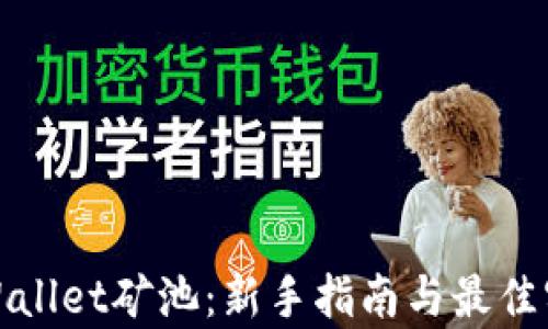 
tpWallet矿池：新手指南与最佳实践