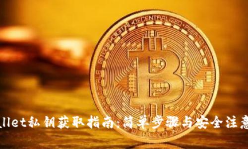 tpWallet私钥获取指南：简单步骤与安全注意事项