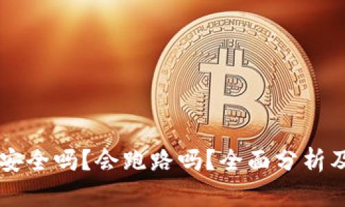 tpWallet安全吗？会跑路吗？全面分析及使用指南