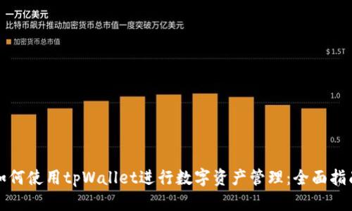 如何使用tpWallet进行数字资产管理：全面指南