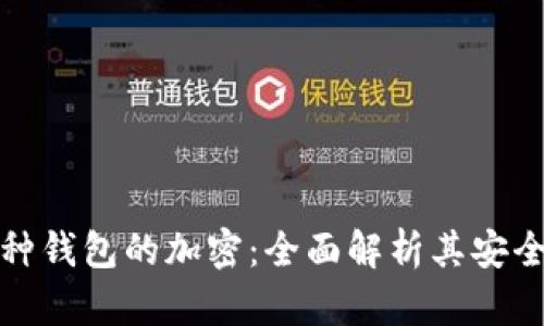 支持多币种钱包的加密：全面解析其安全性与优势