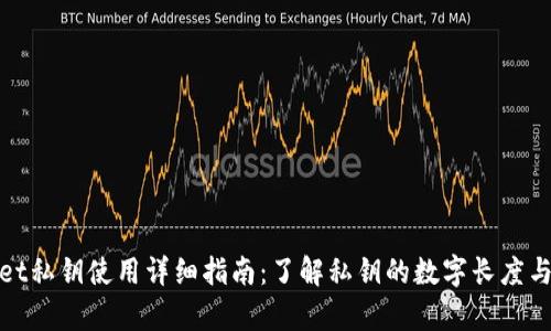 tpWallet私钥使用详细指南：了解私钥的数字长度与安全性