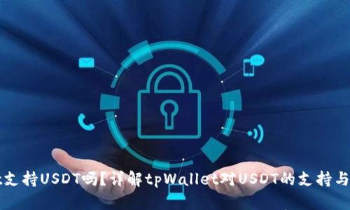 tpWallet支持USDT吗？详解tpWallet对USDT的支持与使用指南