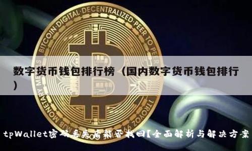 tpWallet密码丢失后能否找回？全面解析与解决方案