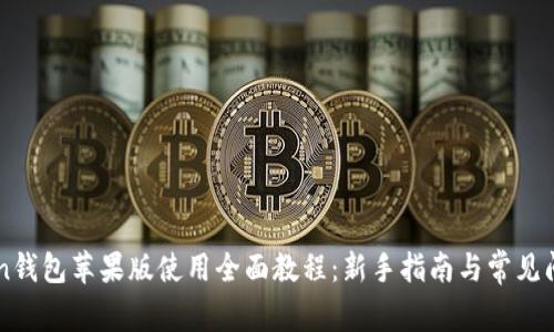 imToken钱包苹果版使用全面教程：新手指南与常见问题解析