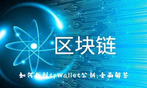 如何找到tpWallet公钥：全面解答