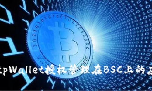 全面解析tpWallet授权管理在BSC上的应用与实践