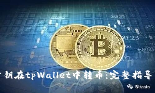 如何通过公钥在tpWallet中转币：完整指导与注意事项