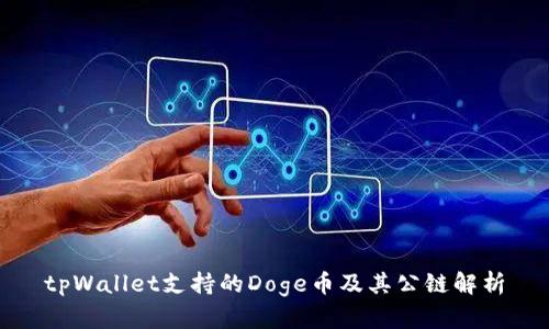 tpWallet支持的Doge币及其公链解析