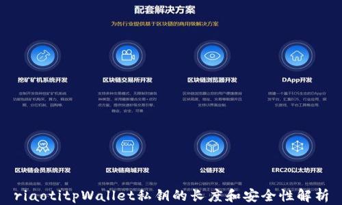 
riaotitpWallet私钥的长度和安全性解析