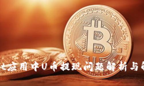 tpWallet应用中U币提现问题解析与解决方案