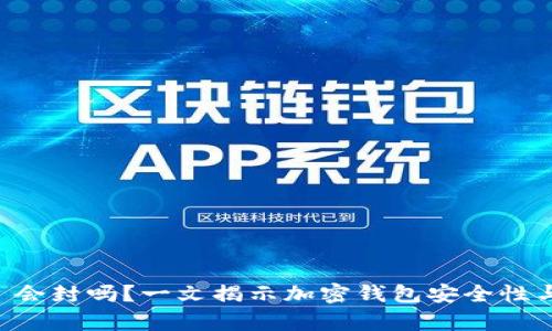 tpWallet 会封吗？一文揭示加密钱包安全性与风险分析