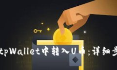 ### 如何在tpWallet中转入U币