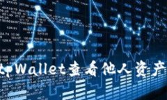 如何使用tpWallet查看他人资