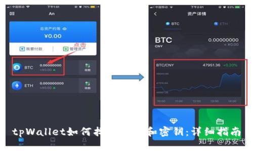 tpWallet如何找回密码和密钥：详细指南