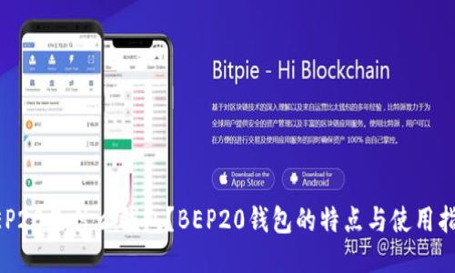 BEP20是什么钱包？BEP20钱包的特点与使用指南