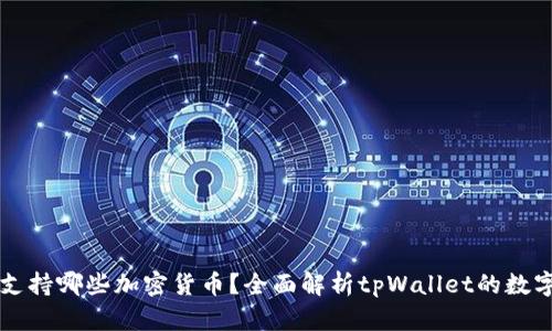 tpWallet支持哪些加密货币？全面解析tpWallet的数字资产种类