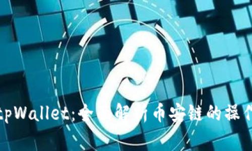 从交易所提币到tpWallet：全面解析币安链的操作步骤与注意事项