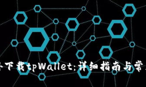 如何在海外下载tpWallet：详细指南与常见问题解析