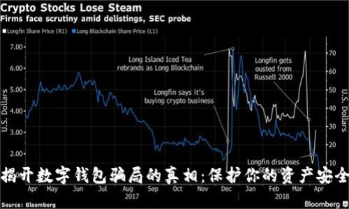 揭开数字钱包骗局的真相：保护你的资产安全