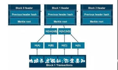 区块链钱包地址长度揭秘：你需要知道的编码知识