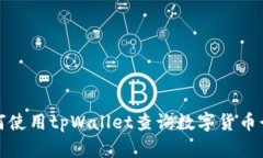 如何使用tpWallet查询数字货