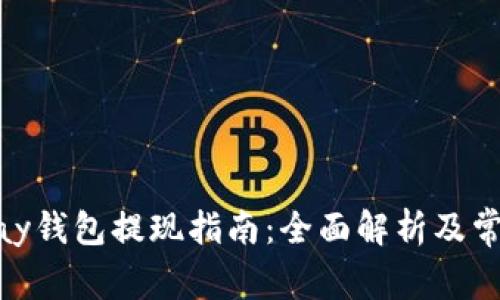 虚拟币OKPay钱包提现指南：全面解析及常见问题解答