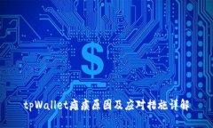 tpWallet瘫痪原因及应对措施