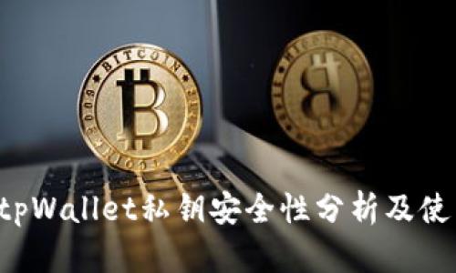 bialtitpWallet私钥安全性分析及使用指南