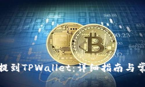 如何将BNB提到TPWallet：详细指南与常见问题解答