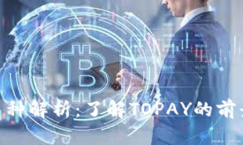 TOPAY币种解析：了解TOPAY的前景与应用