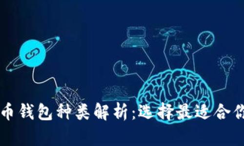 标题数字货币钱包种类解析：选择最适合你的存储方式