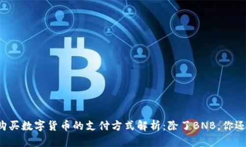 在tpWallet中购买数字货币的支付方式解析：除了BNB，你还可以选择什么？