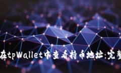 如何在tpWallet中查看持币地