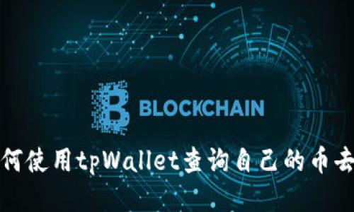 如何使用tpWallet查询自己的币去向