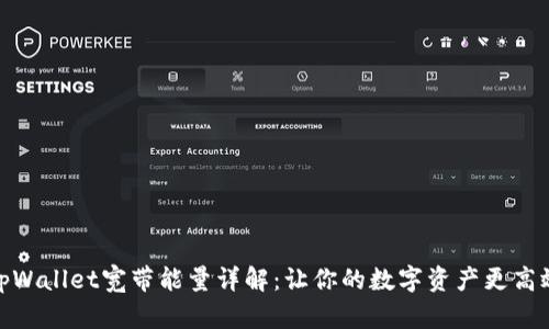 tpWallet宽带能量详解：让你的数字资产更高效