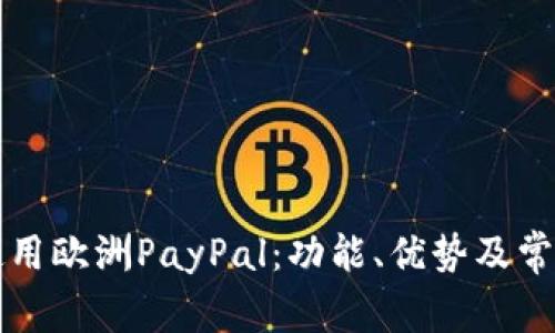 如何有效使用欧洲PayPal：功能、优势及常见问题解析