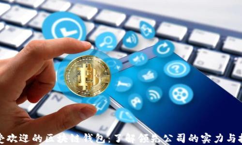 
最受欢迎的区块链钱包：了解领先公司的实力与技术