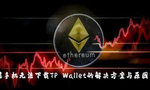 苹果手机无法下载TP Wallet的解决方案与原因分析