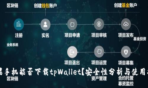 苹果手机能否下载tpWallet？安全性分析与使用指南