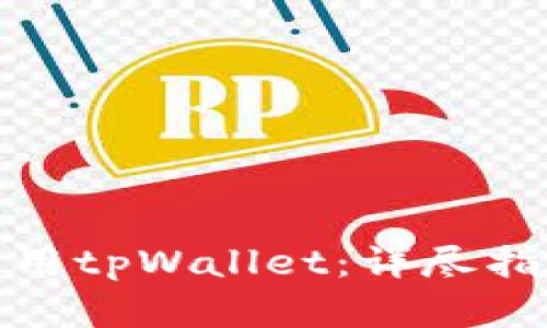 在国内如何使用tpWallet：详尽指南与实用技巧