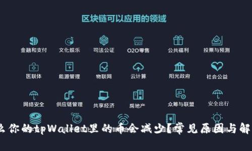 :为什么你的tpWallet里的币会减少？常见原因与解决方案