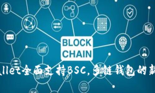 tpWallet全面支持BSC，多链钱包的新选择