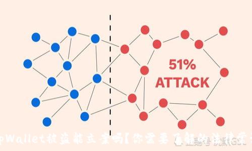   
tpWallet被盗能立案吗？你需要了解的法律常识