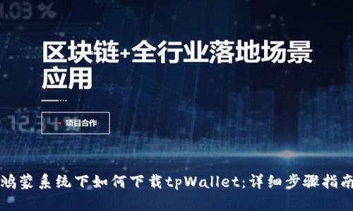 鸿蒙系统下如何下载tpWallet：详细步骤指南