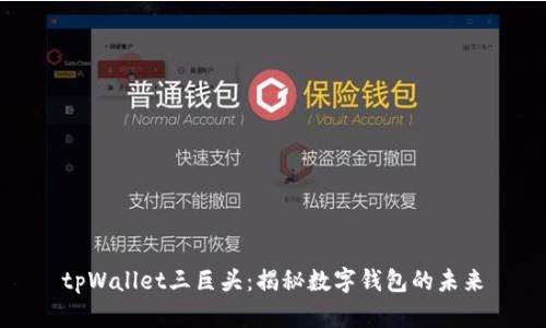 tpWallet三巨头：揭秘数字钱包的未来