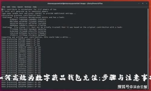 如何高效为数字藏品钱包充值：步骤与注意事项