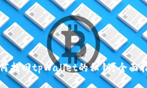 如何找回tpWallet的私钥？全面指南